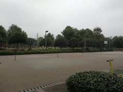 -重庆彩云湖湿地公园