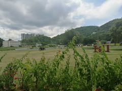 -玫瑰海岸文化旅游度假区
