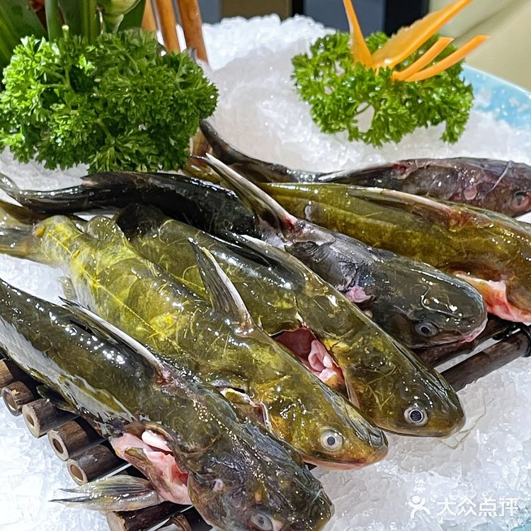 好久没在北京吃到这么新鲜的海鲜火锅了