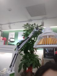 -章光101防脱养发荟
