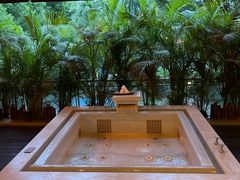 -Waterfall瀑布湾优健源(华侨城店)
