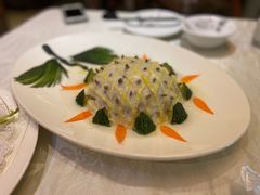 -丁老爷子苏香圆