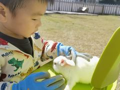 -季高兔窝窝亲子园(上海薰衣草公园店)