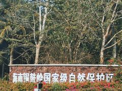 -海南铜鼓岭景区