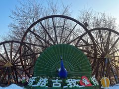 -呀路古热带植物园
