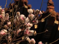 -东华门大街小区