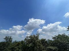 -紫金山山顶公园