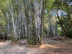 -林丰温泉度假山庄