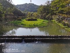 -田野绿世界