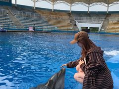 -北戴河圣蓝海洋公园