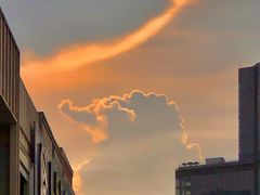 -火炉山森林公园