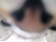 -宠福鑫动物医院(城北分院)