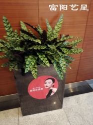 -Yestar杭州艺星医疗美容医院