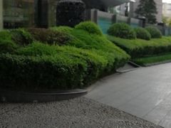 -成都天府丽都喜来登饭店