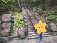 -茅兰沟国家森林公园