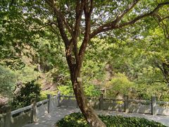 -善卷洞风景区