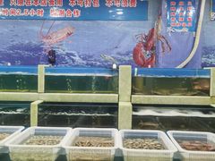 -王潮活海鲜自助·蒸汽海鲜