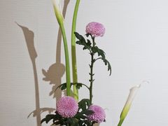 -杭州平安悦坊 PAFC LIVING