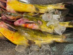 黄辣丁-王家渡火锅(金宝汇店)