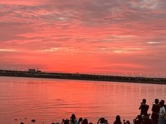 -宝安西湾红树林湿地公园