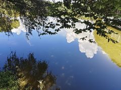 -东莞植物园