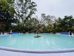 -九龙公园