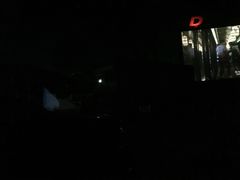 -枫花园汽车电影院(朝阳公园店)