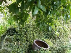 -咸宁万豪温泉谷度假区