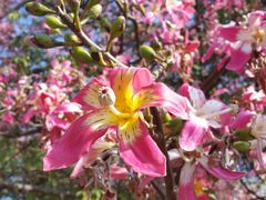 -广州大学华软软件学院新闻中心