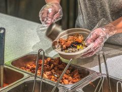 -油梨树 AVOCADO TREE(亮马桥店)