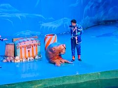 -大连圣亚海洋世界