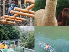 -龙湾潭国家森林公园
