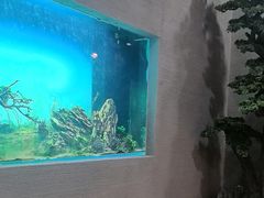 -松临·铁板烧&Omakase(神农店)