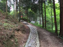 -四明山国家森林公园