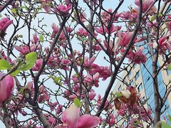 -军事博物馆(地铁站)