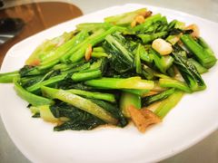-松涛大酒楼