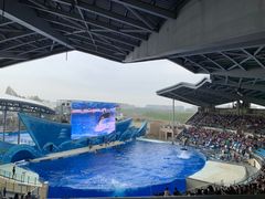 -上海海昌海洋公园