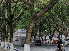-南山植物园