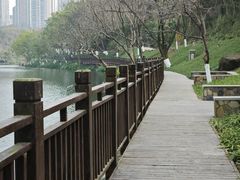 -重庆彩云湖湿地公园