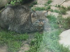 -青藏高原野生动物园
