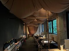 -毛辣果·酸