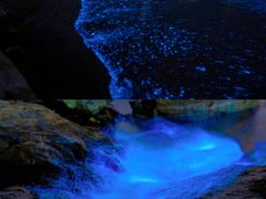 -前王院•巧克力海鲜市集餐厅(万平口店)