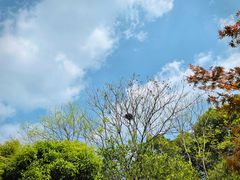 -杭州城北体育公园