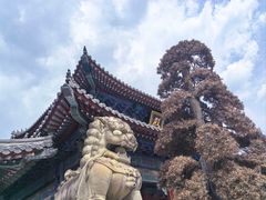 -西安大兴善寺