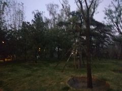 -迎泽公园