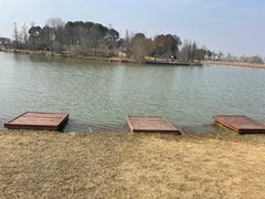 -宁波杭州湾国家湿地公园