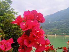 -乌江画廊(彭水苗族土家族自治县)