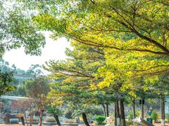 -广东外语外贸大学(白云山校区)