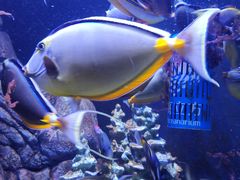 -成都浩海立方海洋公园