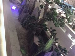 -野妹经典火锅(江夏中百店)
